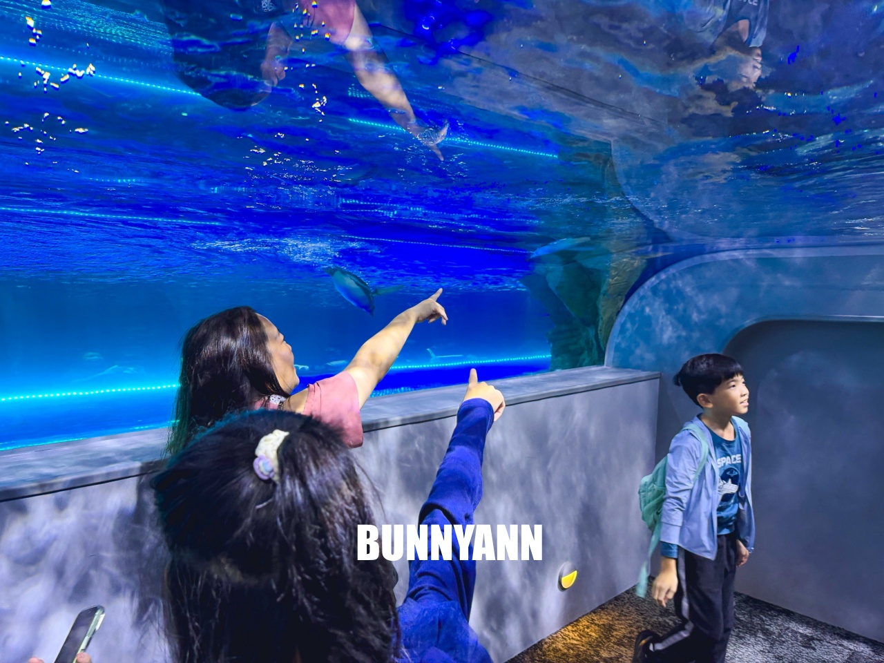 台中梧棲【台中海洋館】漁港旁非常熱門的室內親子水族館