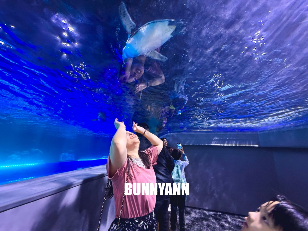 台中梧棲【台中海洋館】漁港旁非常熱門的室內親子水族館
