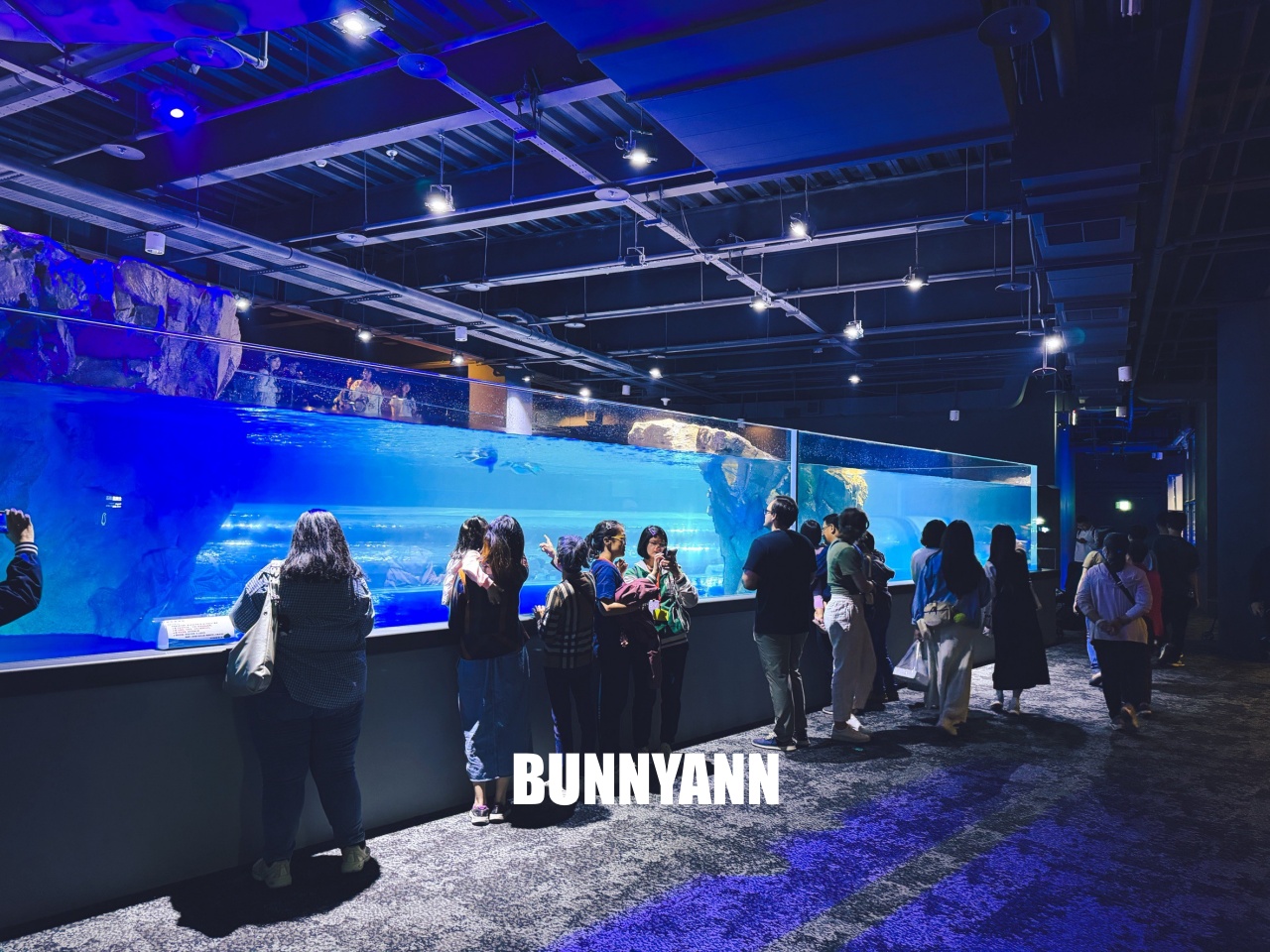 台中梧棲【台中海洋館】漁港旁非常熱門的室內親子水族館