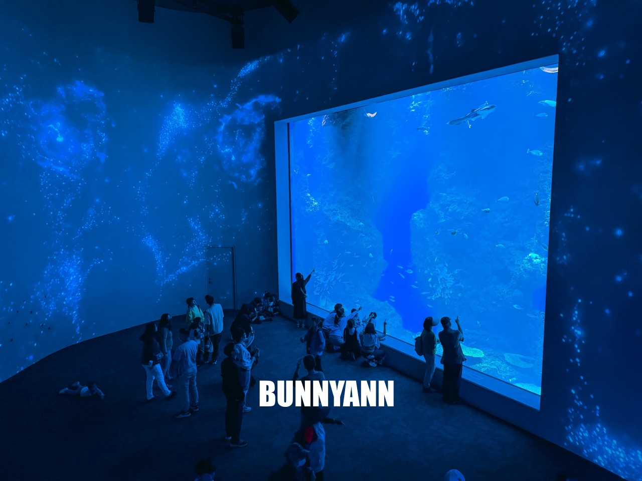 台中梧棲【台中海洋館】漁港旁非常熱門的室內親子水族館