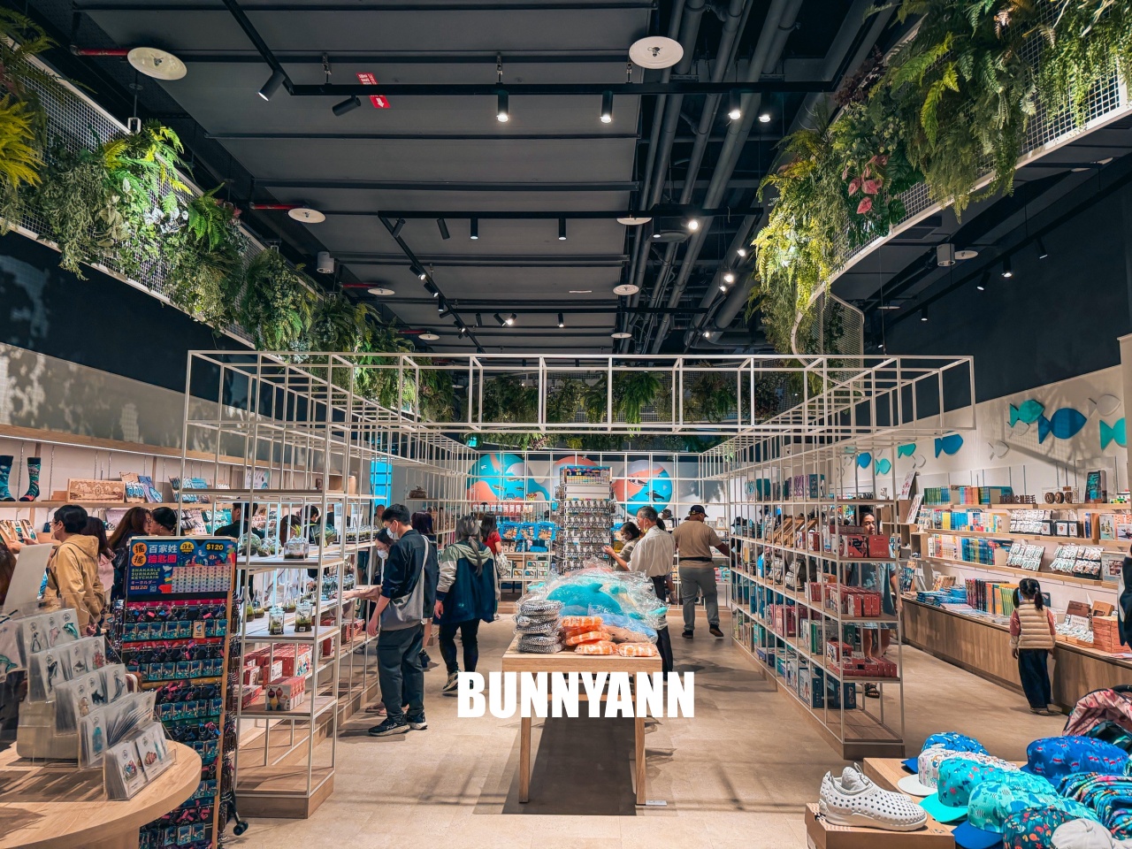 台中梧棲【台中海洋館】漁港旁非常熱門的室內親子水族館