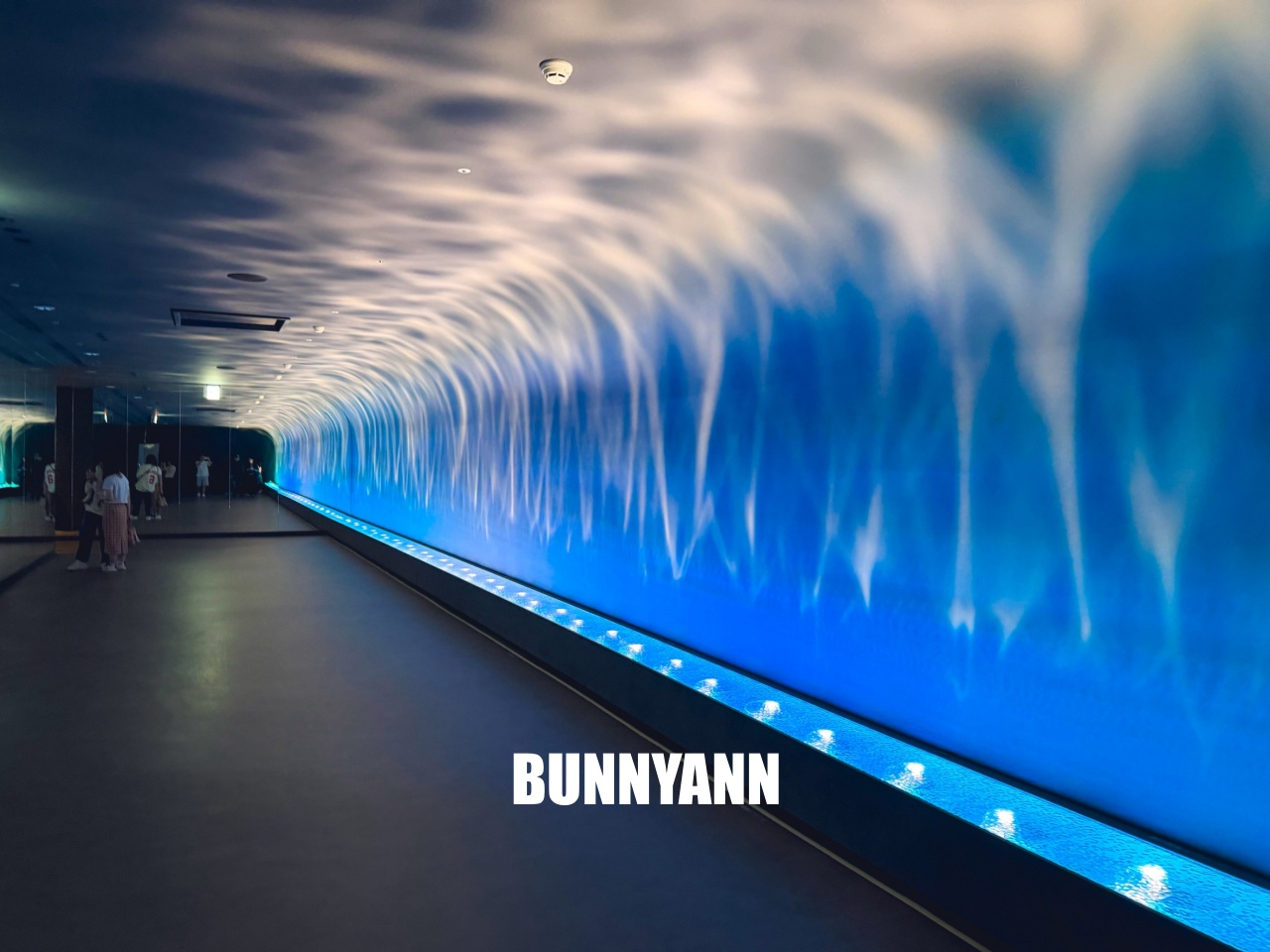 台中梧棲【台中海洋館】漁港旁非常熱門的室內親子水族館