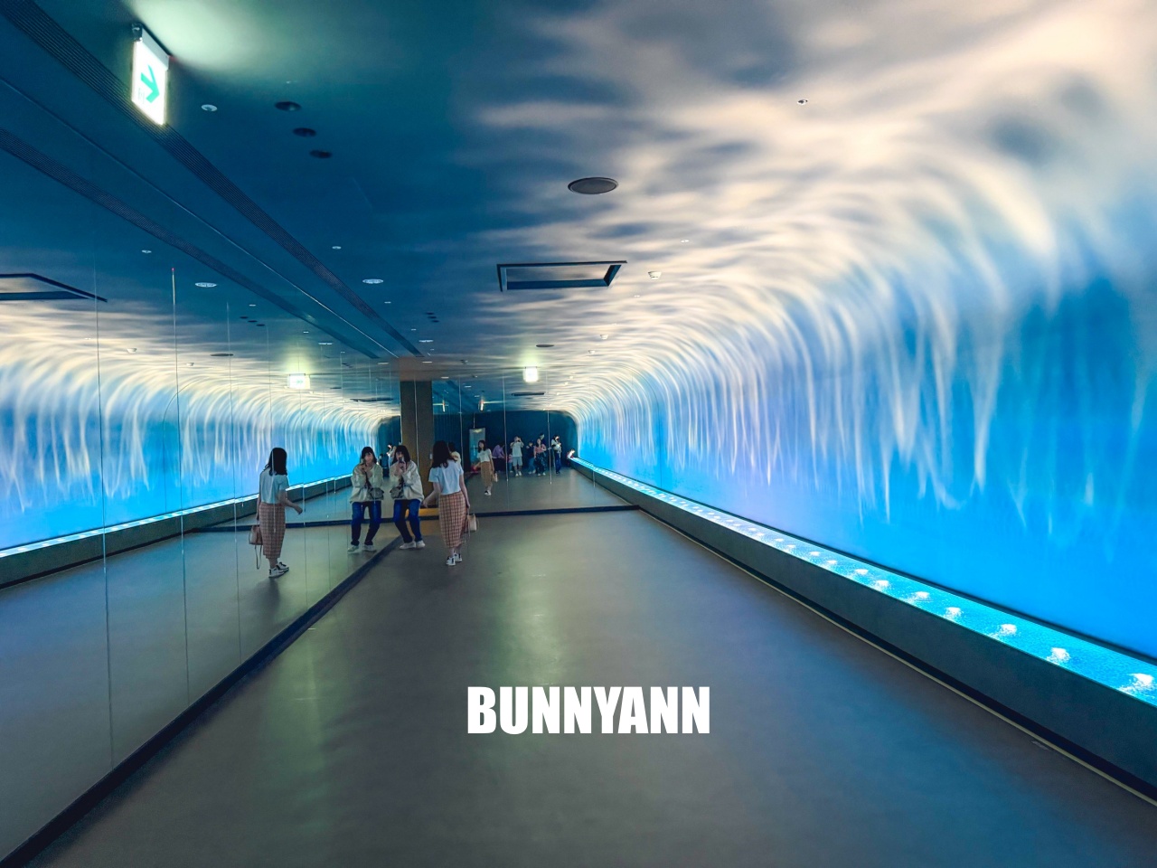 台中梧棲【台中海洋館】漁港旁非常熱門的室內親子水族館