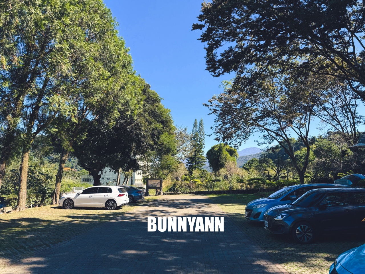 南投【行者咖啡】松柏崙步道上的森林系咖啡廳，療癒又好拍