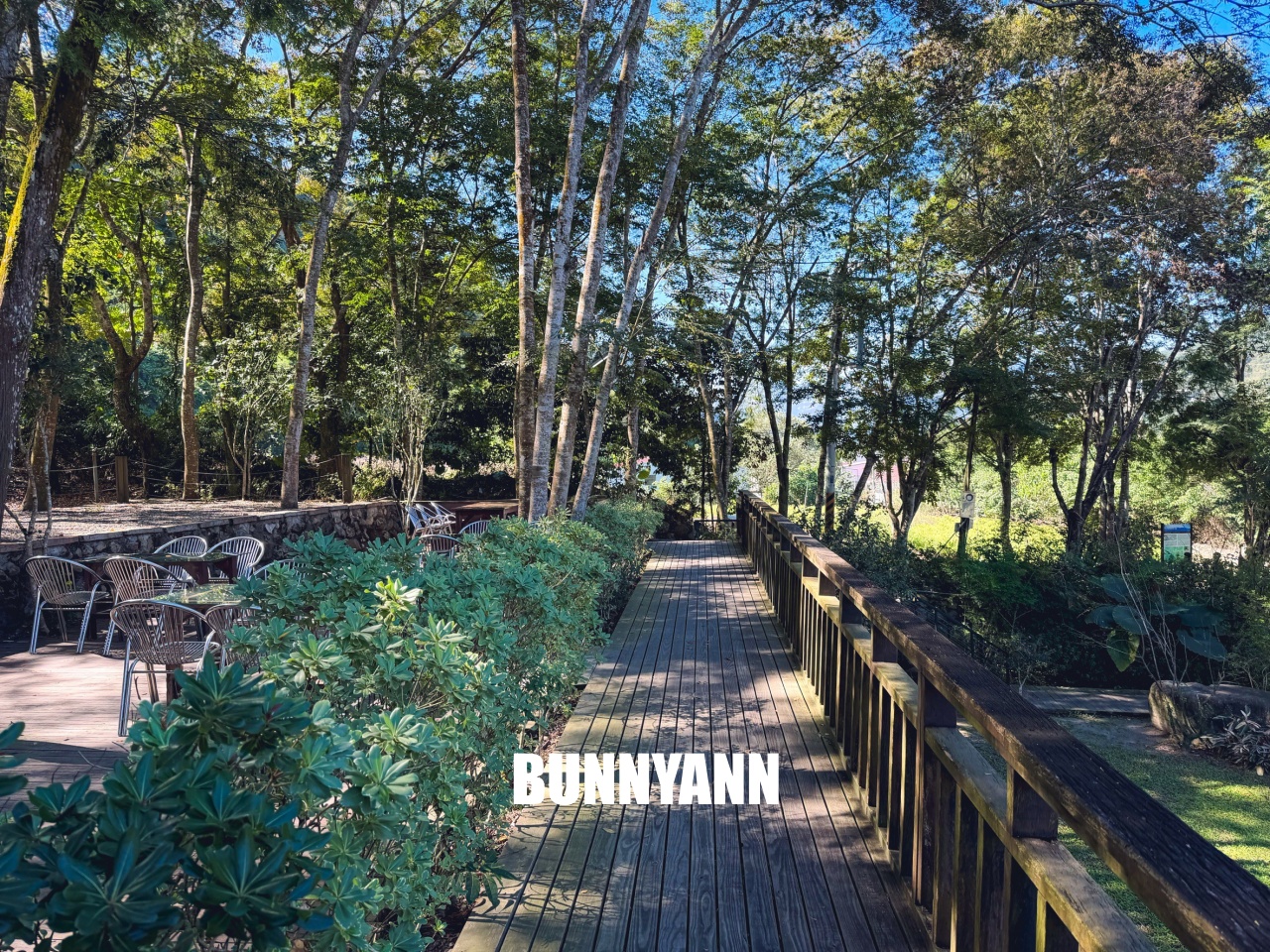 南投【行者咖啡】松柏崙步道上的森林系咖啡廳，療癒又好拍