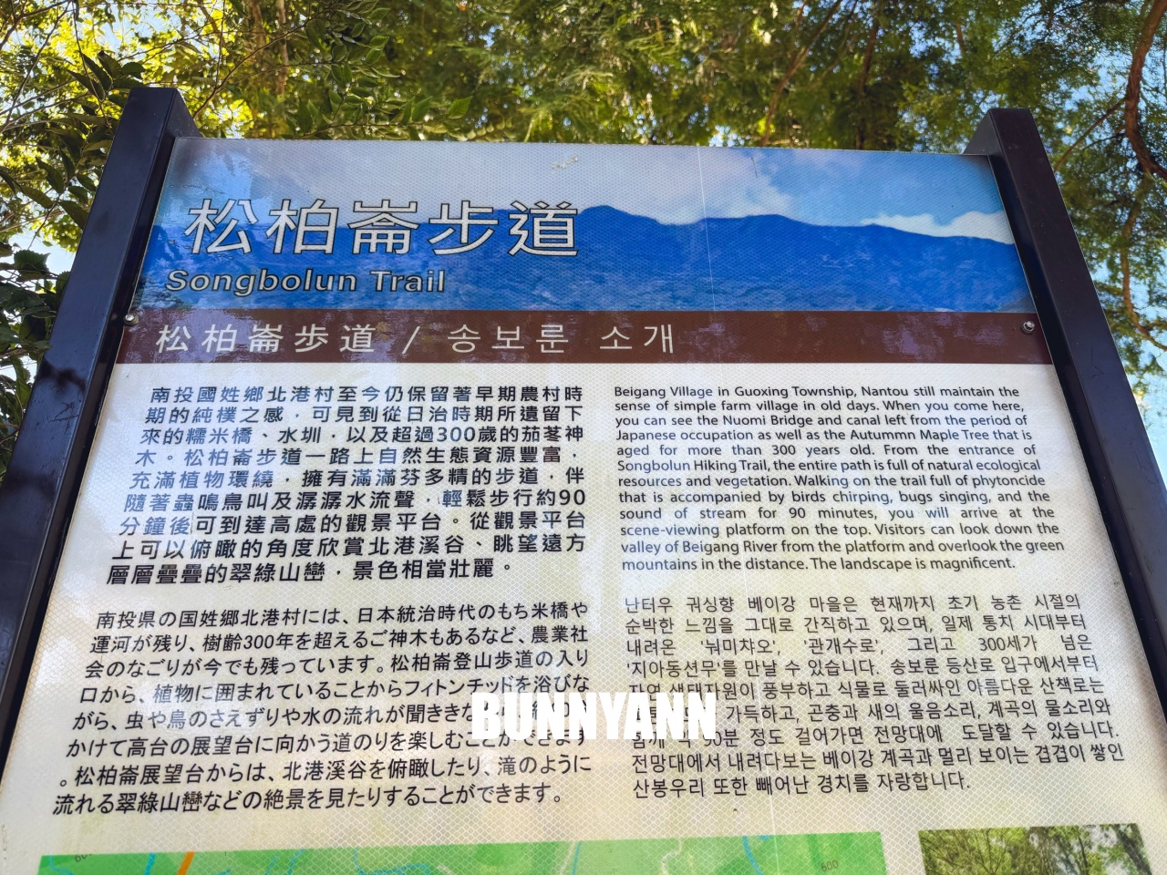 南投【行者咖啡】松柏崙步道上的森林系咖啡廳，療癒又好拍