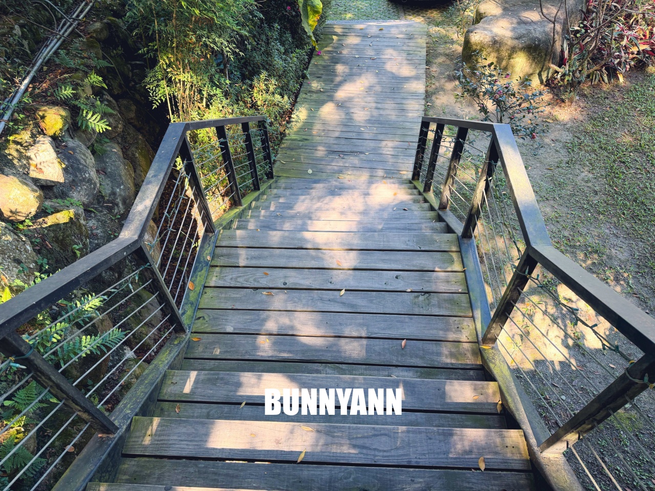 南投【行者咖啡】松柏崙步道上的森林系咖啡廳，療癒又好拍