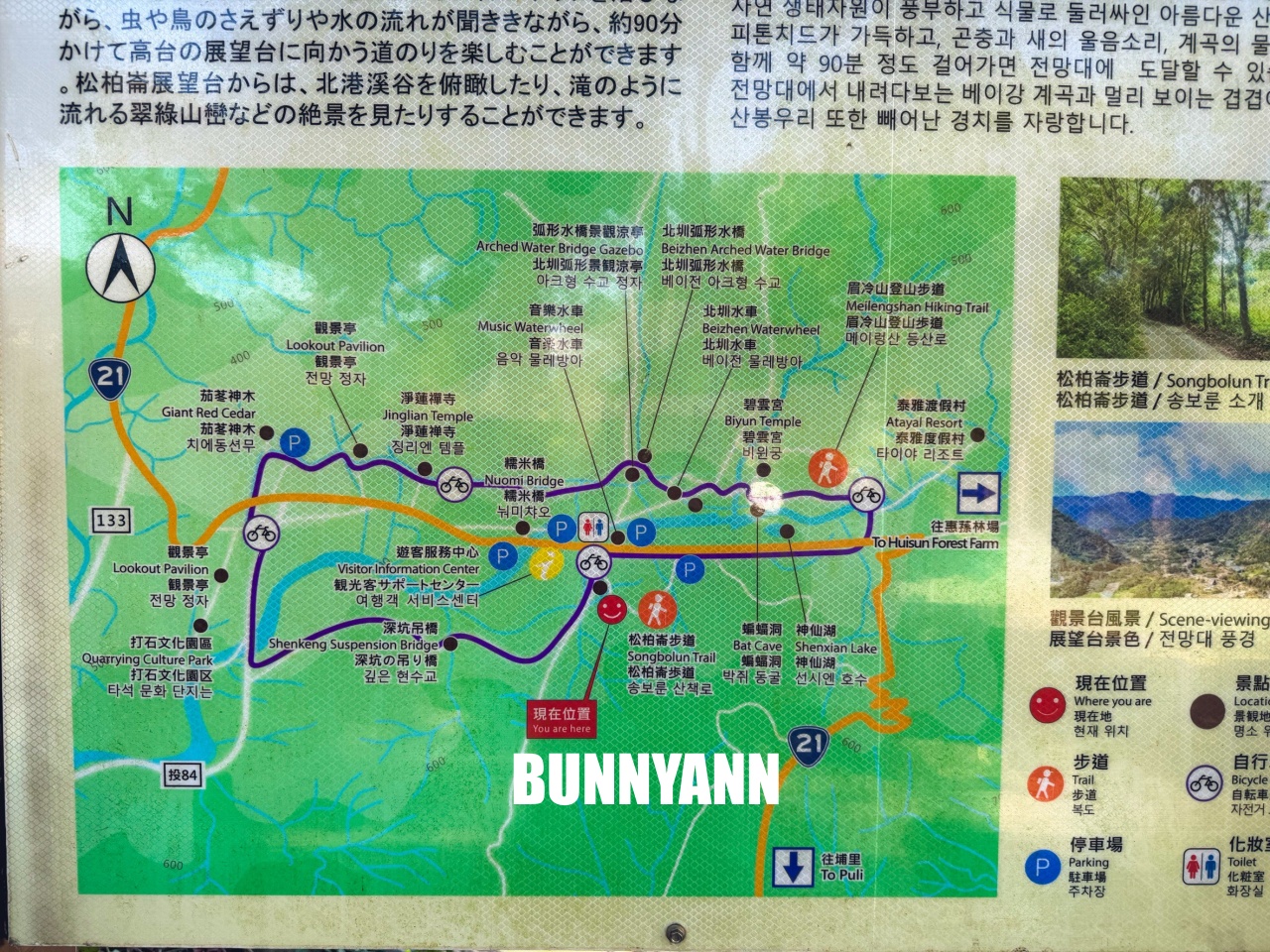 南投【行者咖啡】松柏崙步道上的森林系咖啡廳，療癒又好拍