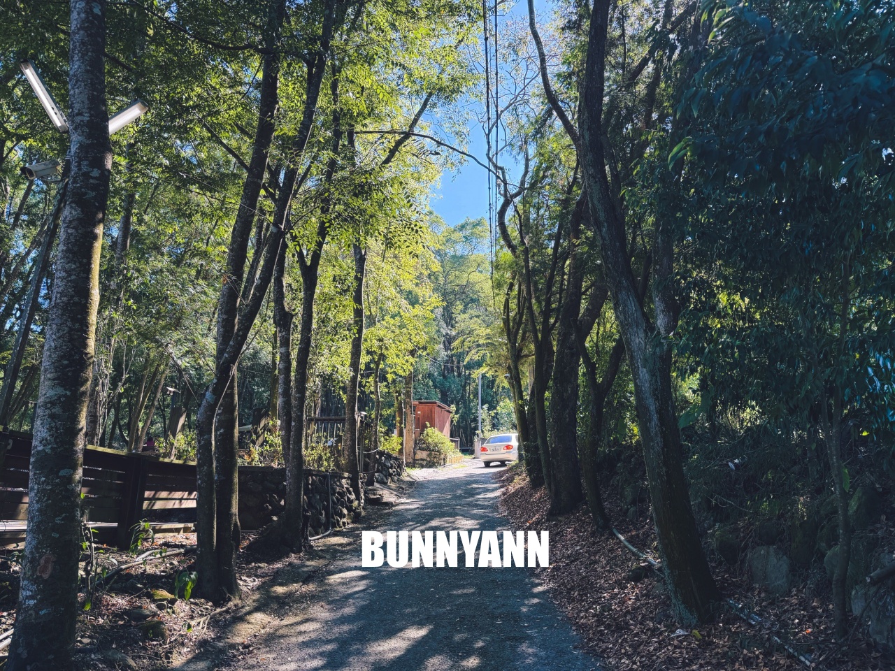 南投【行者咖啡】松柏崙步道上的森林系咖啡廳，療癒又好拍