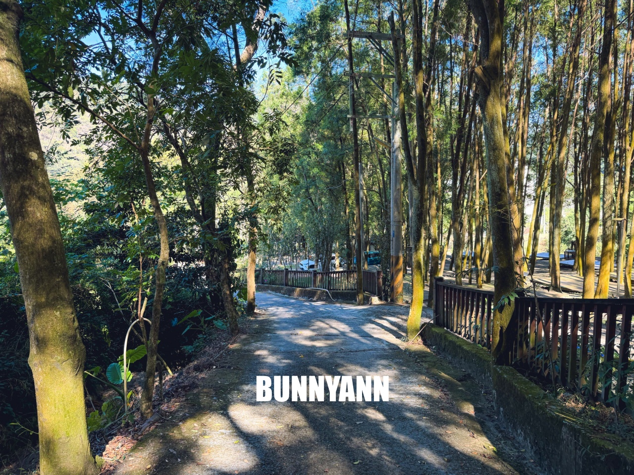 南投【行者咖啡】松柏崙步道上的森林系咖啡廳，療癒又好拍