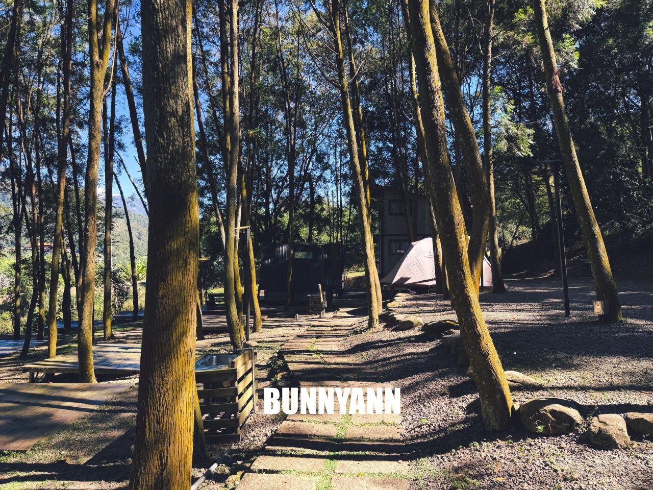 南投【行者咖啡】松柏崙步道上的森林系咖啡廳，療癒又好拍