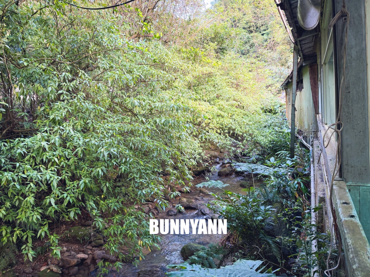 登山客推薦【檳榔村土雞城】每道菜100元起的小吃店 登山客推薦【檳榔村土雞城】每道菜100元起的小吃店