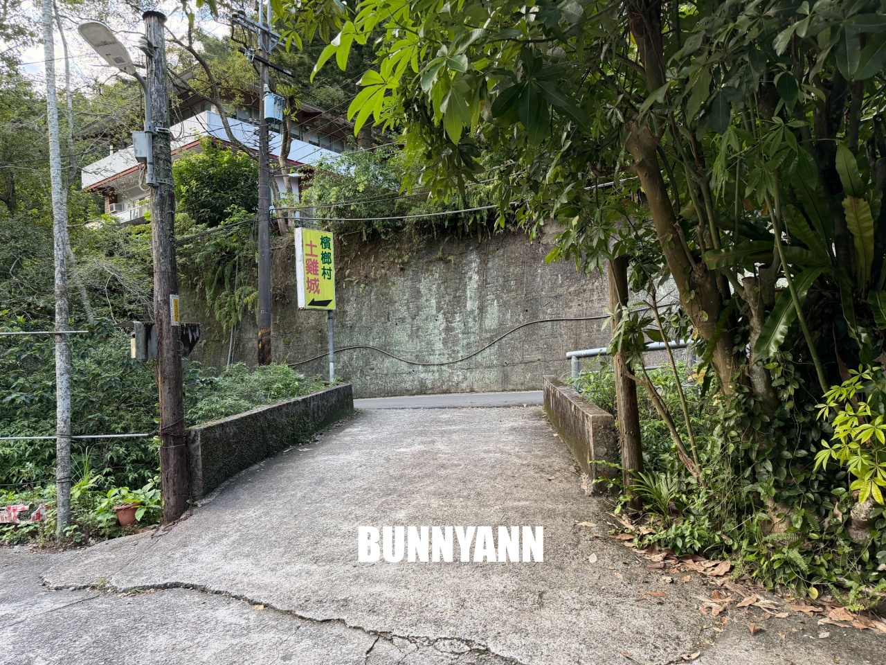 登山客推薦【檳榔村土雞城】每道菜100元起的小吃店 登山客推薦【檳榔村土雞城】每道菜100元起的小吃店