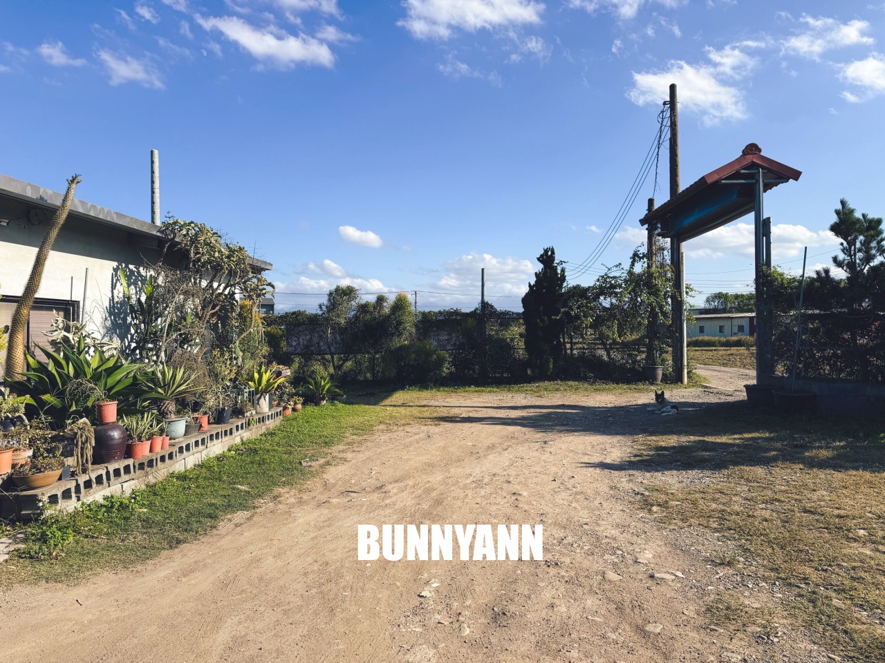 地點有夠鄉下，卻是千坪大鹿角蕨多肉園區，有上千株的多肉盆栽可賞，手作盆栽教室氛圍超好