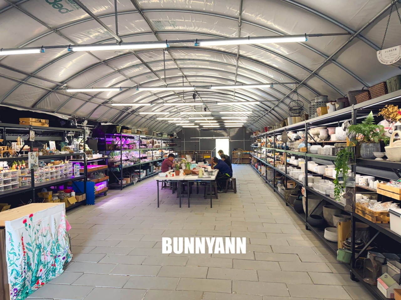 地點有夠鄉下，卻是千坪大鹿角蕨多肉園區，有上千株的多肉盆栽可賞，手作盆栽教室氛圍超好