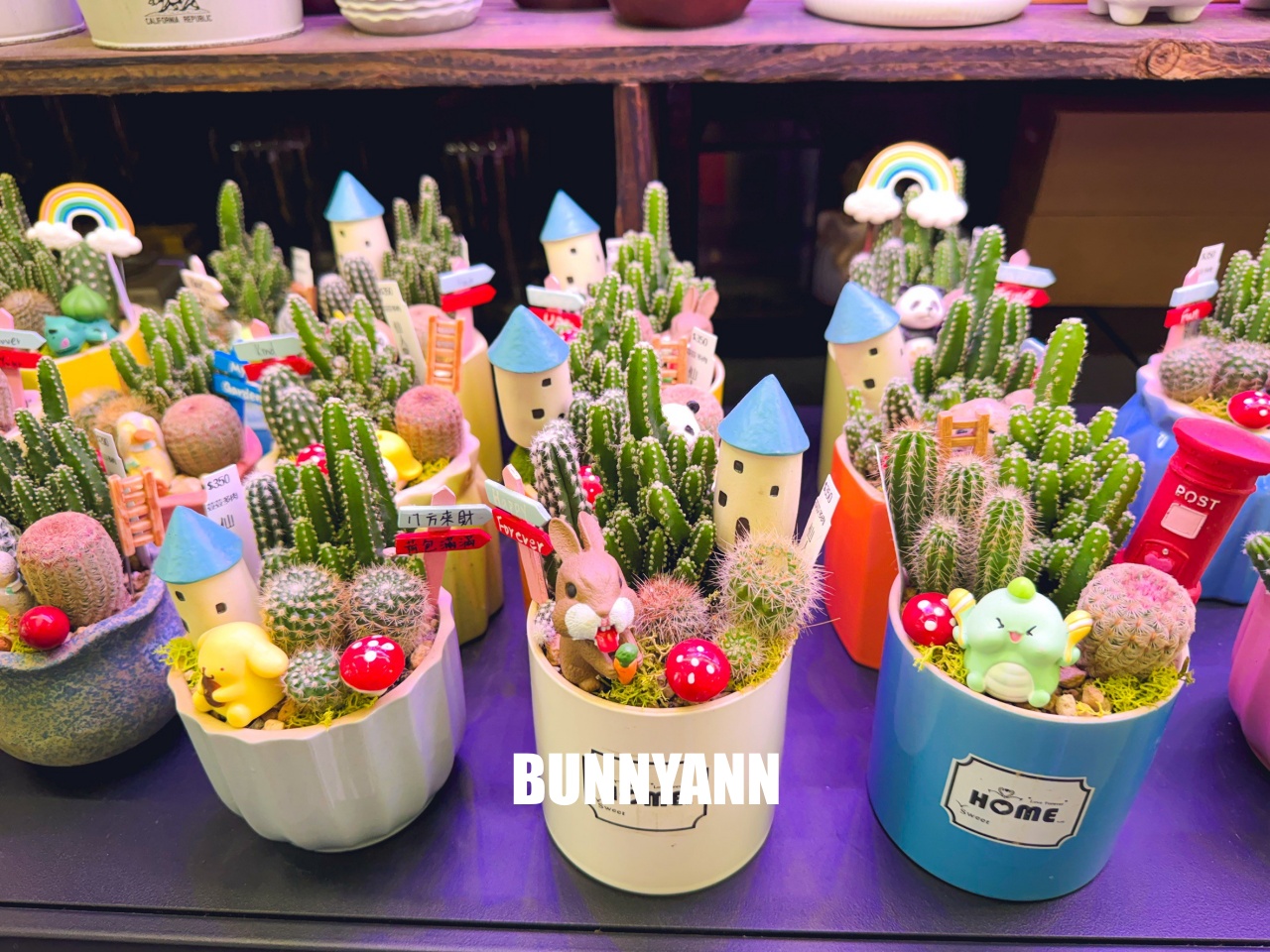 地點有夠鄉下，卻是千坪大鹿角蕨多肉園區，有上千株的多肉盆栽可賞，手作盆栽教室氛圍超好