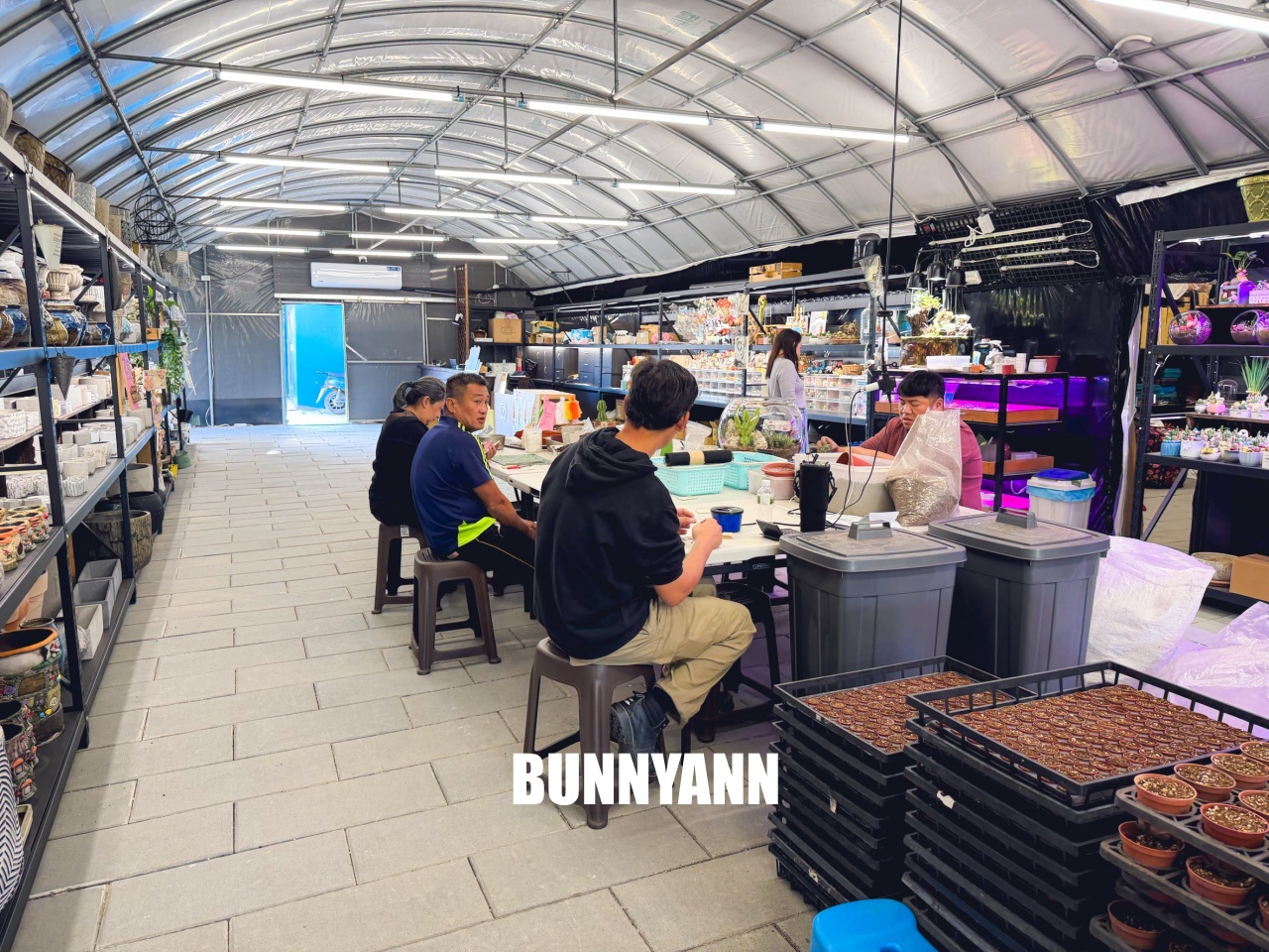 地點有夠鄉下，卻是千坪大鹿角蕨多肉園區，有上千株的多肉盆栽可賞，手作盆栽教室氛圍超好