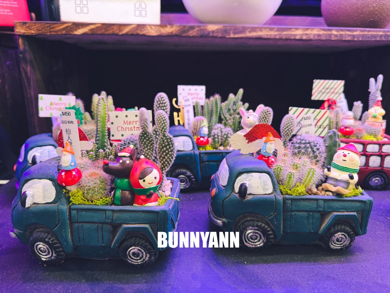 地點有夠鄉下，卻是千坪大鹿角蕨多肉園區，有上千株的多肉盆栽可賞，手作盆栽教室氛圍超好