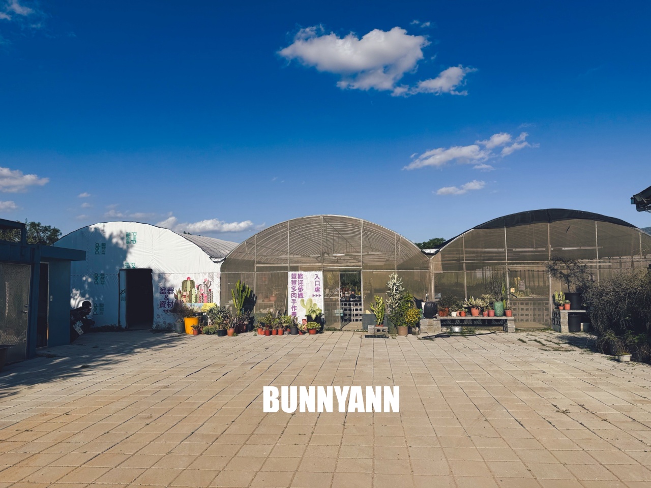 地點有夠鄉下，卻是千坪大鹿角蕨多肉園區，有上千株的多肉盆栽可賞，手作盆栽教室氛圍超好