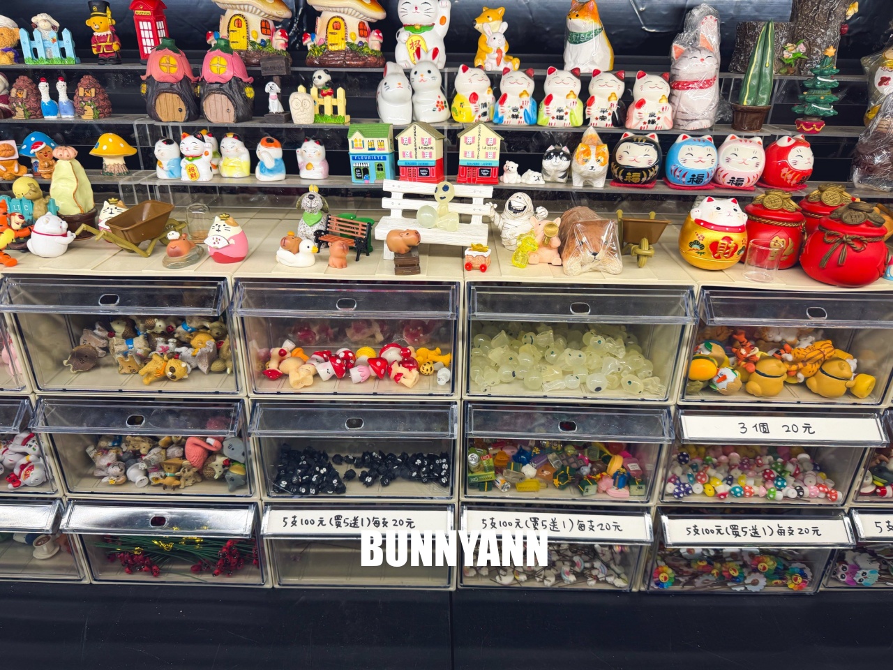 地點有夠鄉下，卻是千坪大鹿角蕨多肉園區，有上千株的多肉盆栽可賞，手作盆栽教室氛圍超好