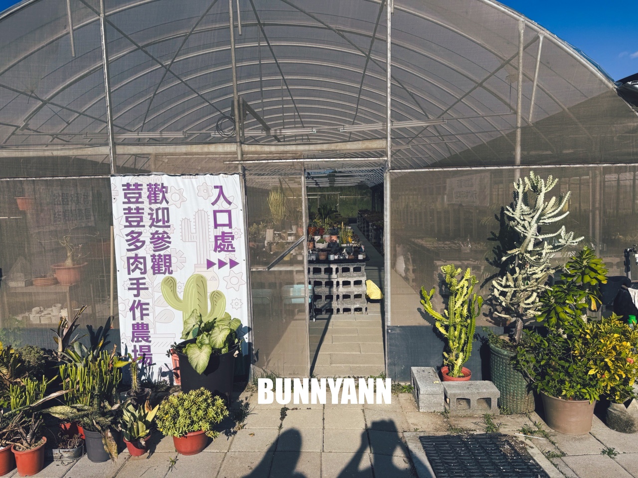 地點有夠鄉下，卻是千坪大鹿角蕨多肉園區，有上千株的多肉盆栽可賞，手作盆栽教室氛圍超好