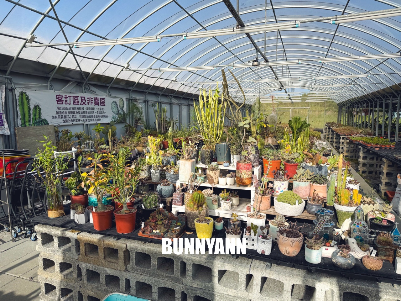 地點有夠鄉下，卻是千坪大鹿角蕨多肉園區，有上千株的多肉盆栽可賞，手作盆栽教室氛圍超好