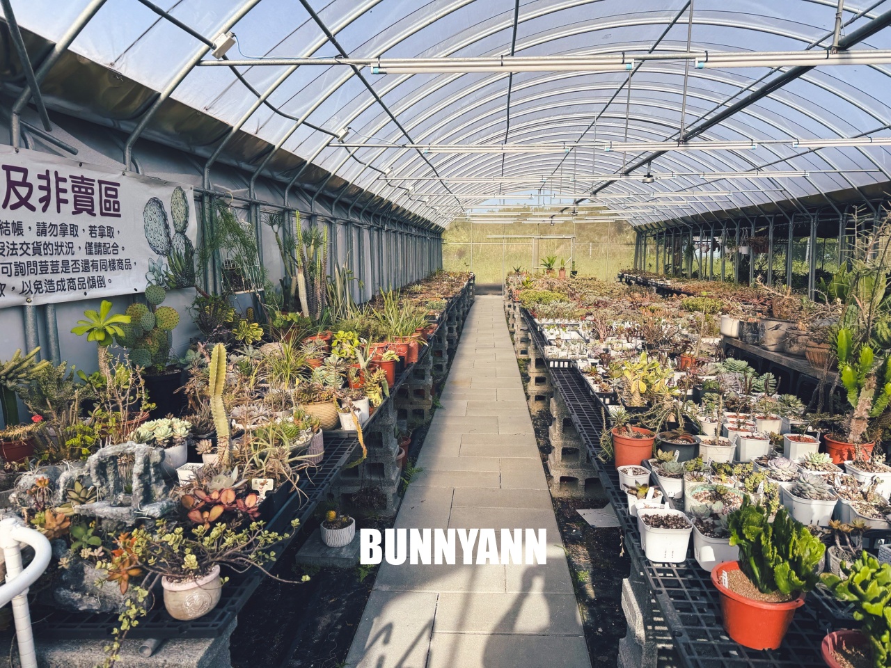 地點有夠鄉下，卻是千坪大鹿角蕨多肉園區，有上千株的多肉盆栽可賞，手作盆栽教室氛圍超好