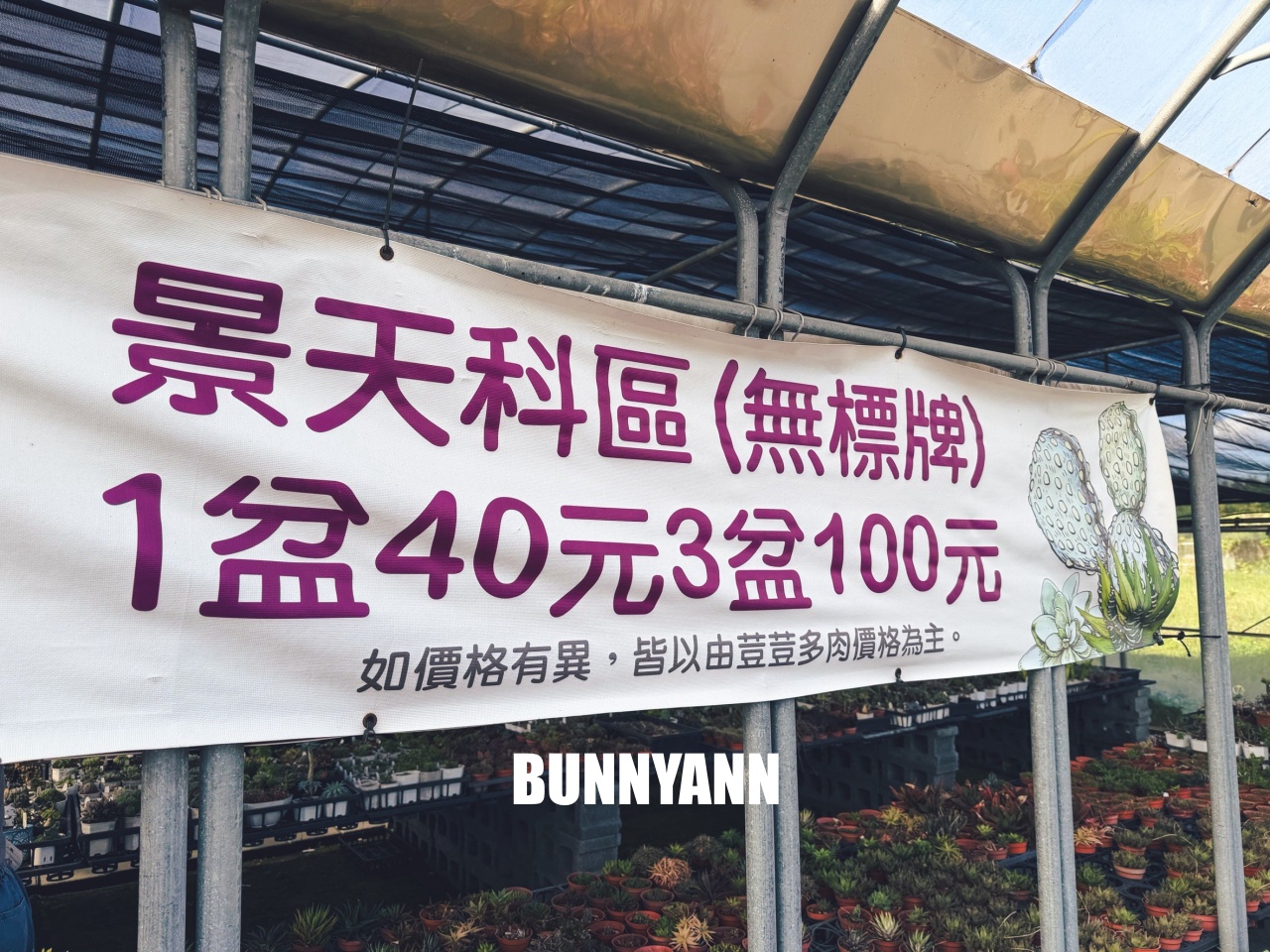 地點有夠鄉下，卻是千坪大鹿角蕨多肉園區，有上千株的多肉盆栽可賞，手作盆栽教室氛圍超好