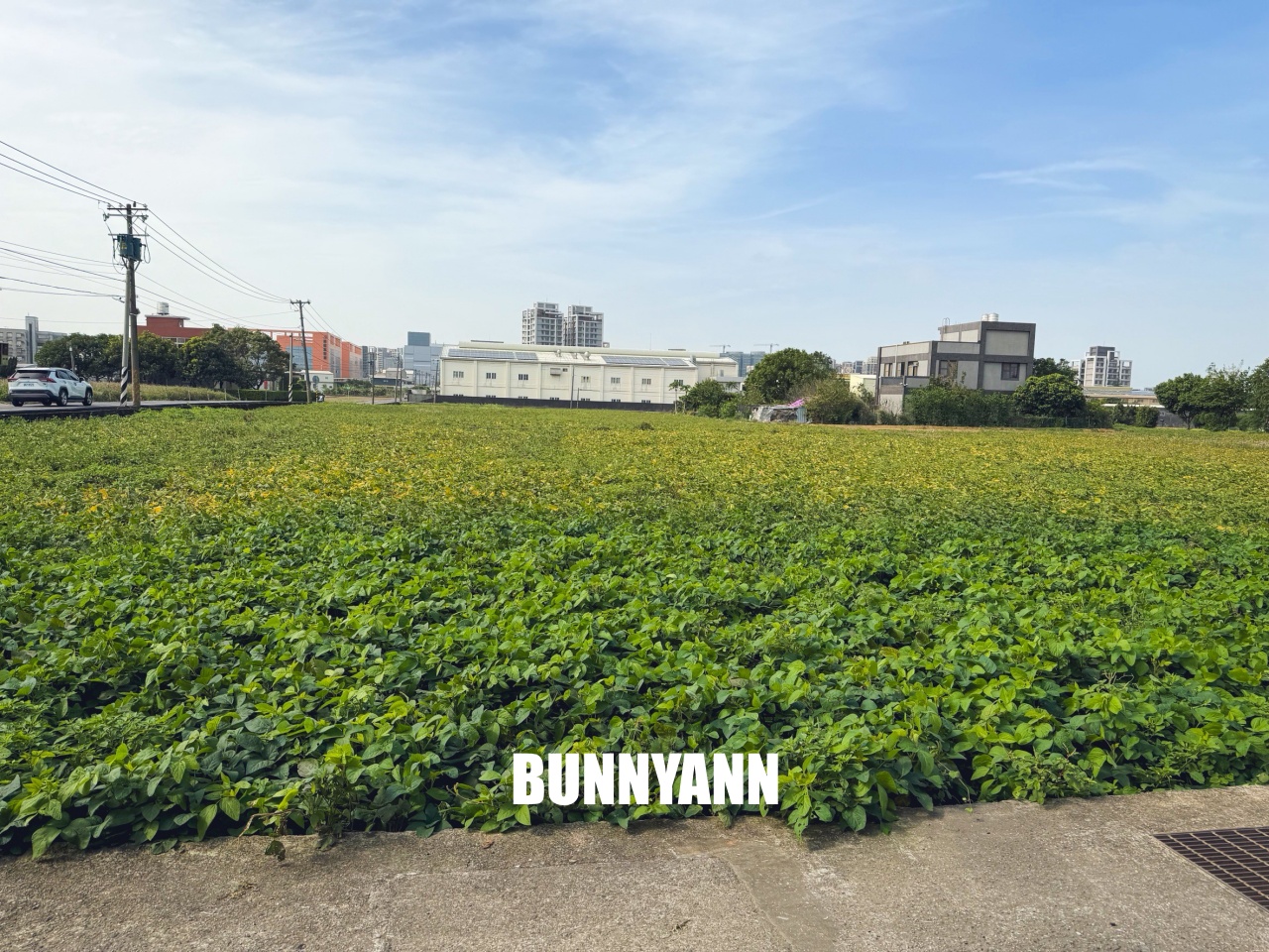 桃園【臺灣番鴨牧場大江店】隱身小路內的好吃薑母鴨店，超大餐廳適合團客聚餐推薦