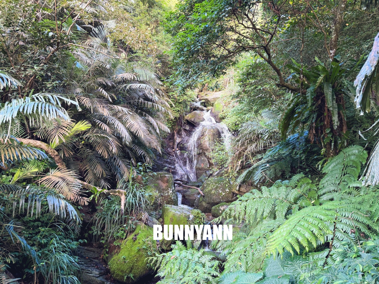 新北【銀河洞越嶺登山步道】下車只要15分鐘,輕鬆欣賞瀑布與水濂洞奇景 新北【銀河洞越嶺登山步道】下車只要15分鐘,輕鬆欣賞瀑布與水濂洞奇景