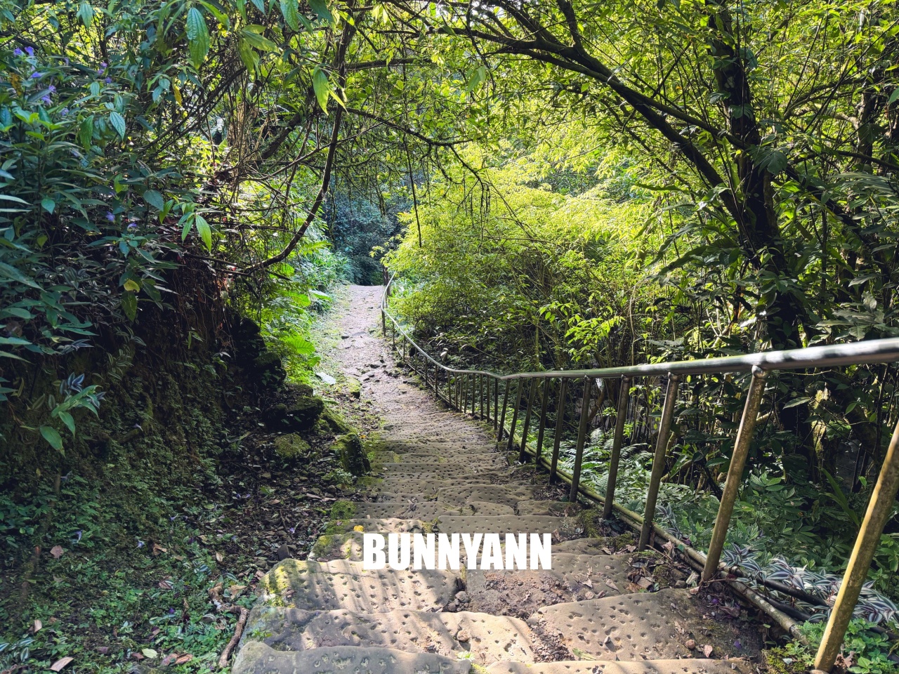 新北【銀河洞越嶺登山步道】下車只要15分鐘,輕鬆欣賞瀑布與水濂洞奇景 新北【銀河洞越嶺登山步道】下車只要15分鐘,輕鬆欣賞瀑布與水濂洞奇景