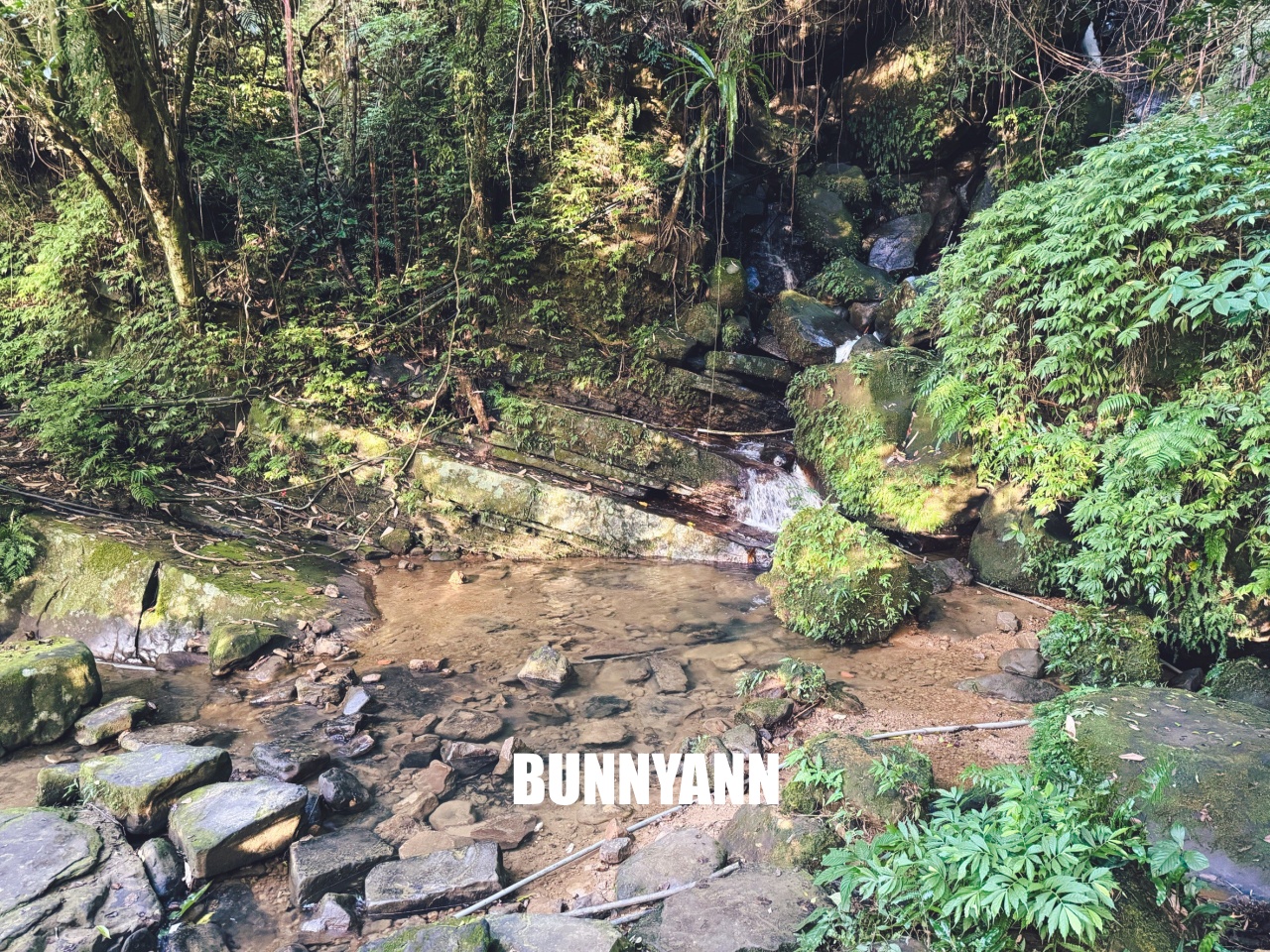 新北【銀河洞越嶺登山步道】下車只要15分鐘,輕鬆欣賞瀑布與水濂洞奇景 新北【銀河洞越嶺登山步道】下車只要15分鐘,輕鬆欣賞瀑布與水濂洞奇景