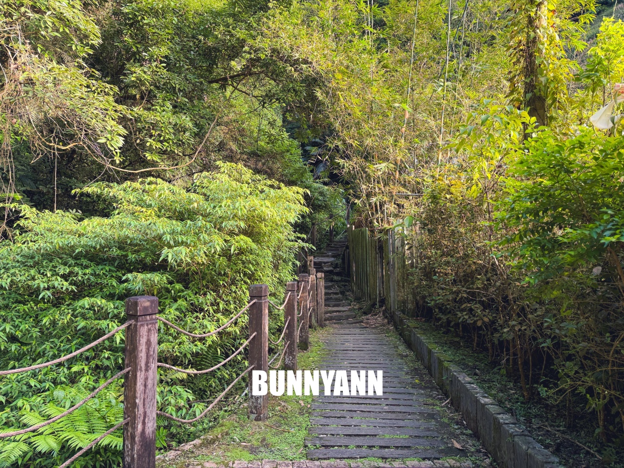 新北【銀河洞越嶺登山步道】下車只要15分鐘,輕鬆欣賞瀑布與水濂洞奇景 新北【銀河洞越嶺登山步道】下車只要15分鐘,輕鬆欣賞瀑布與水濂洞奇景