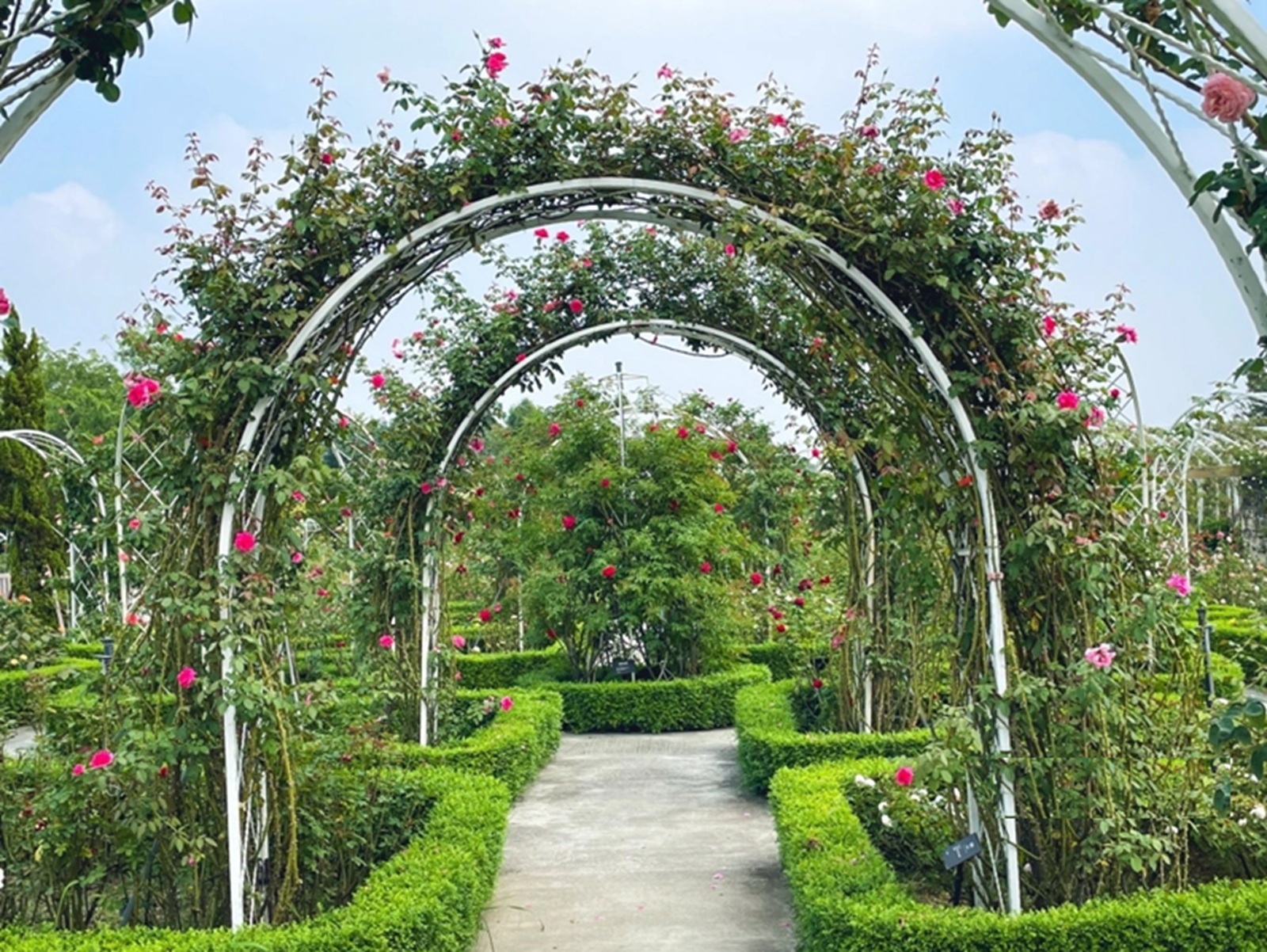 雅聞湖濱療癒森林