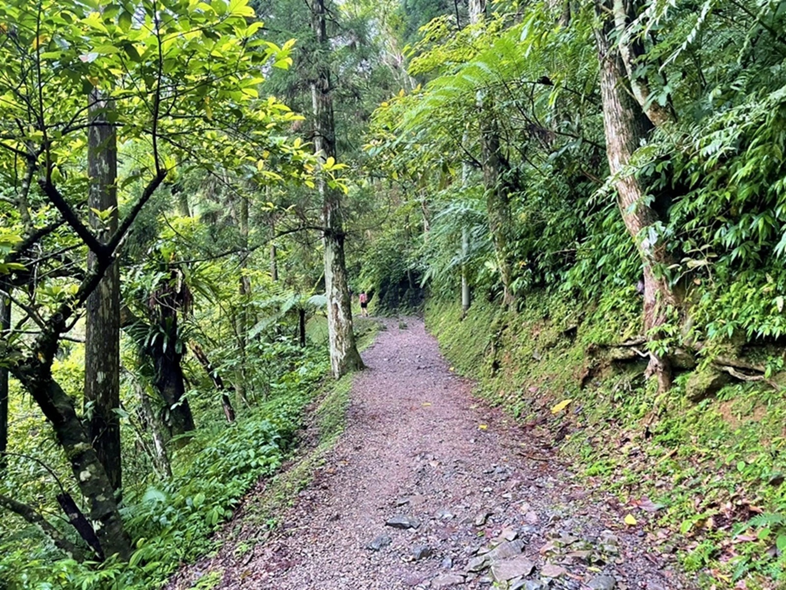 滿月圓國家森林遊樂區