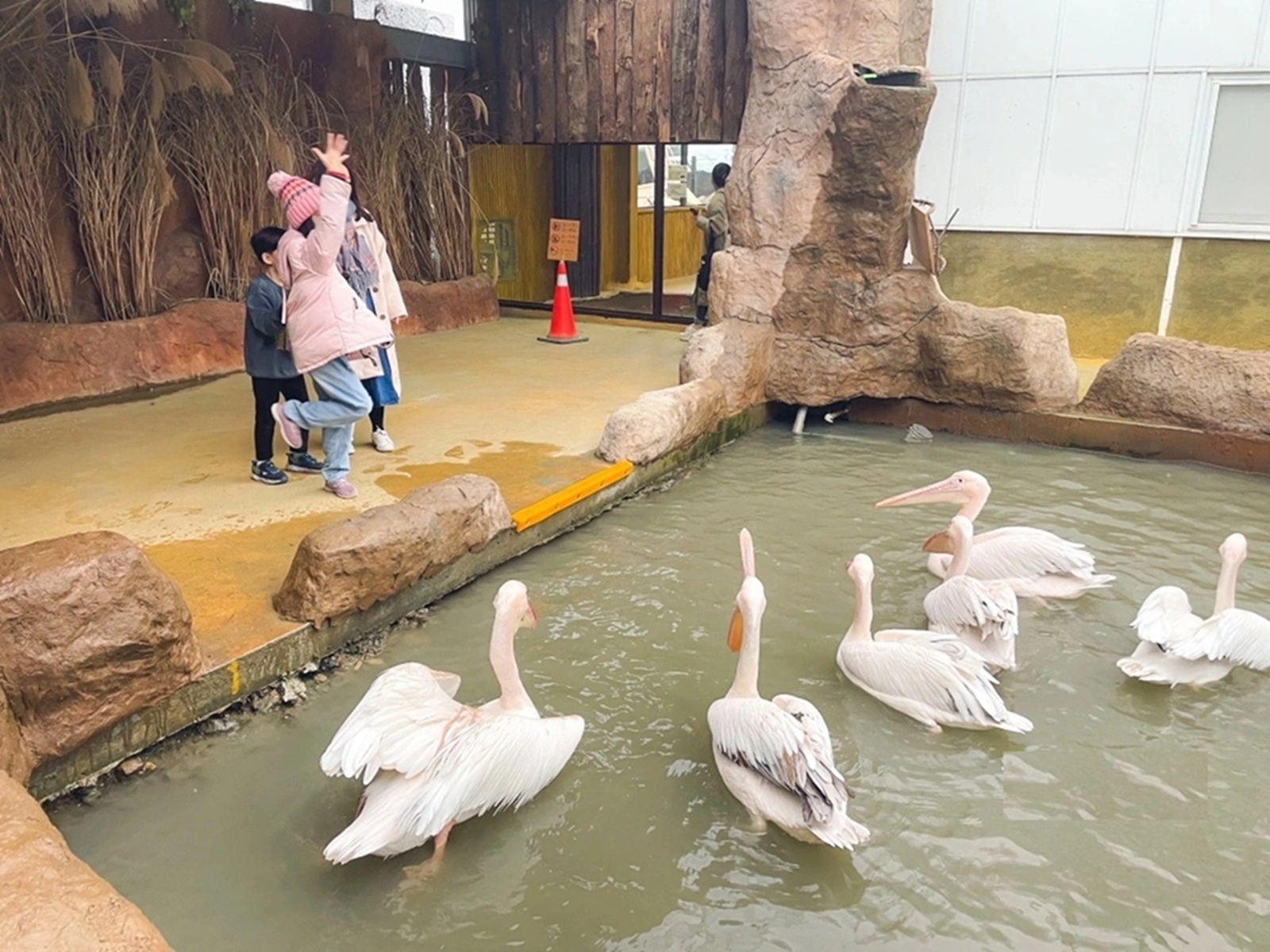 蘭陽動植物王國