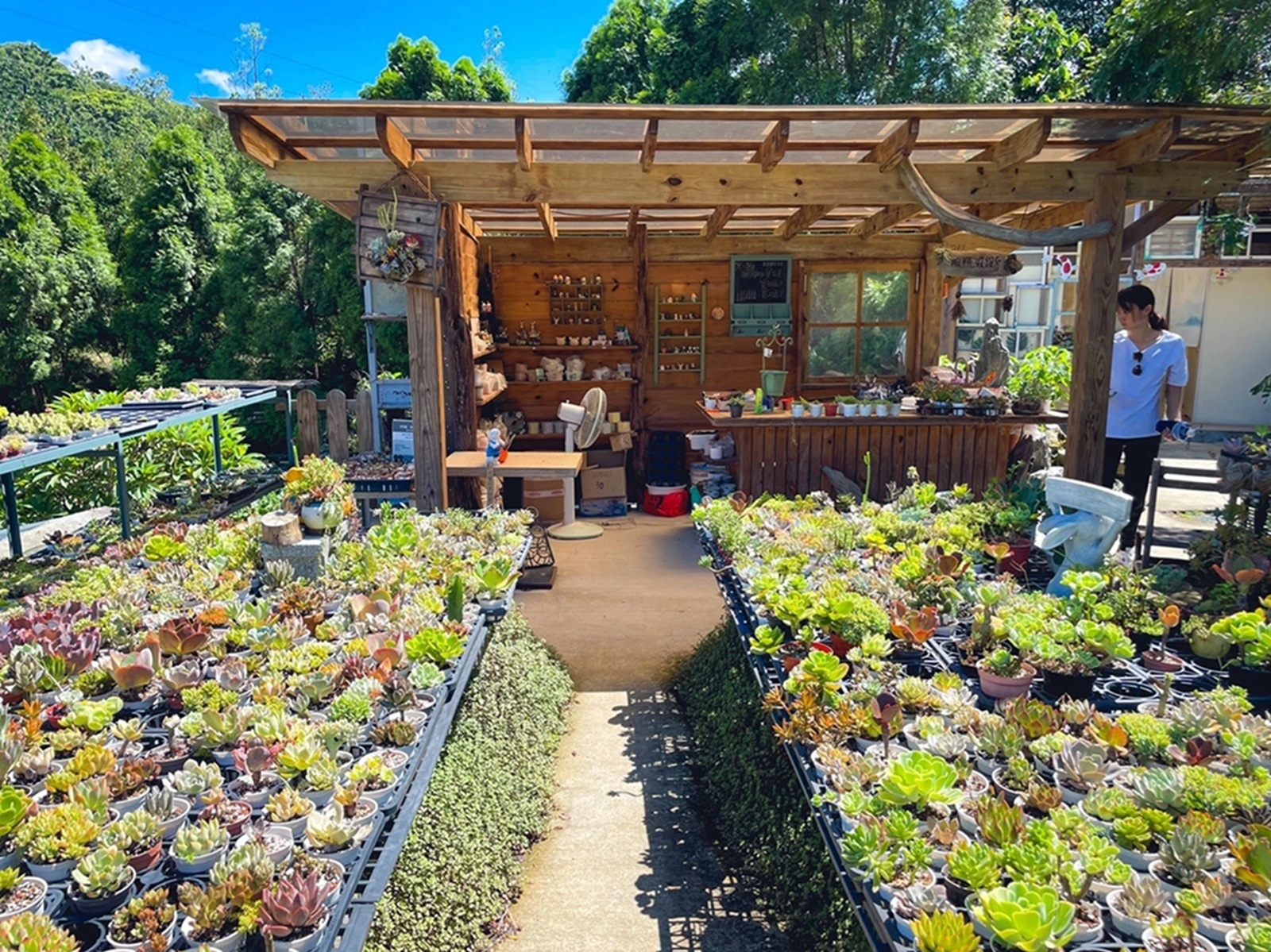 桃園三和青創基地