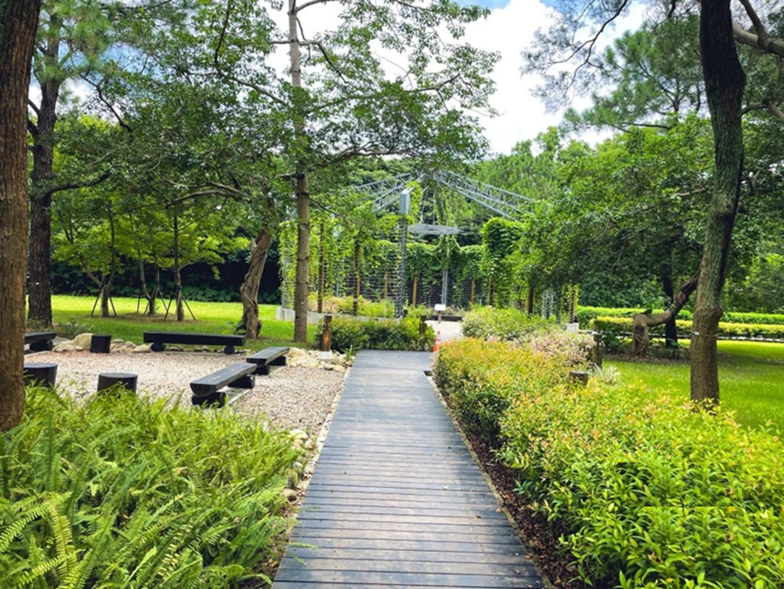 大湳森林公園 大湳森林公園