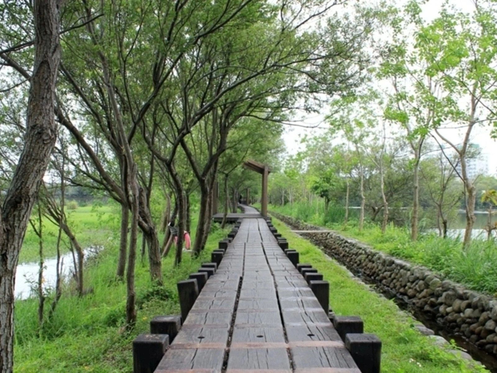 羅東林業文化園區