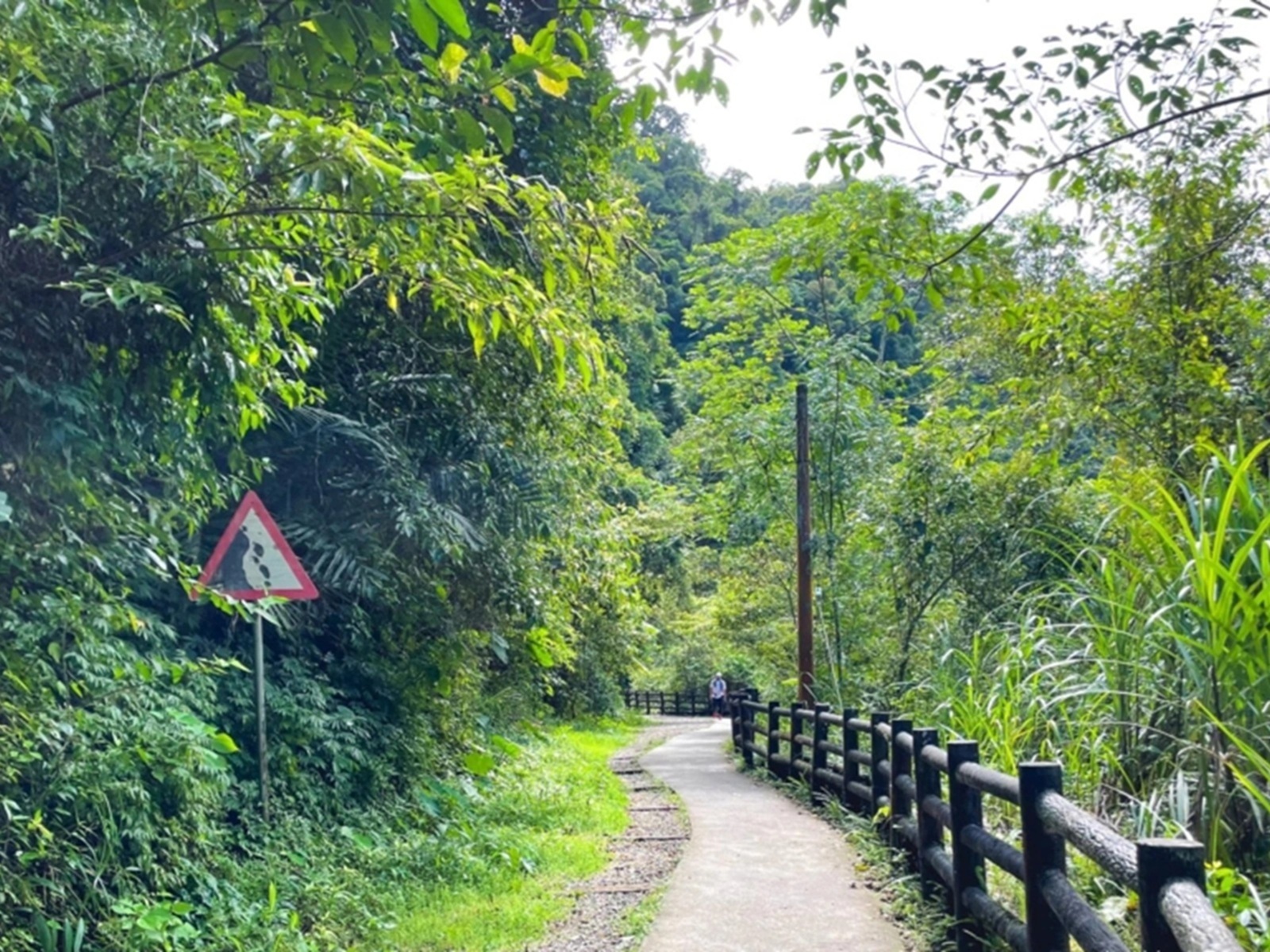 信賢步道 信賢步道