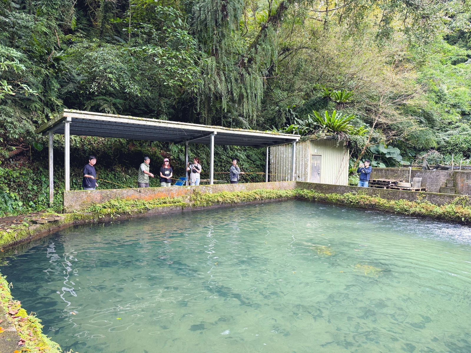 雙連埤美食「苦花大王」釣魚餐廳！自己吃的鱘龍魚自己釣起來煮 @小兔小安*旅遊札記