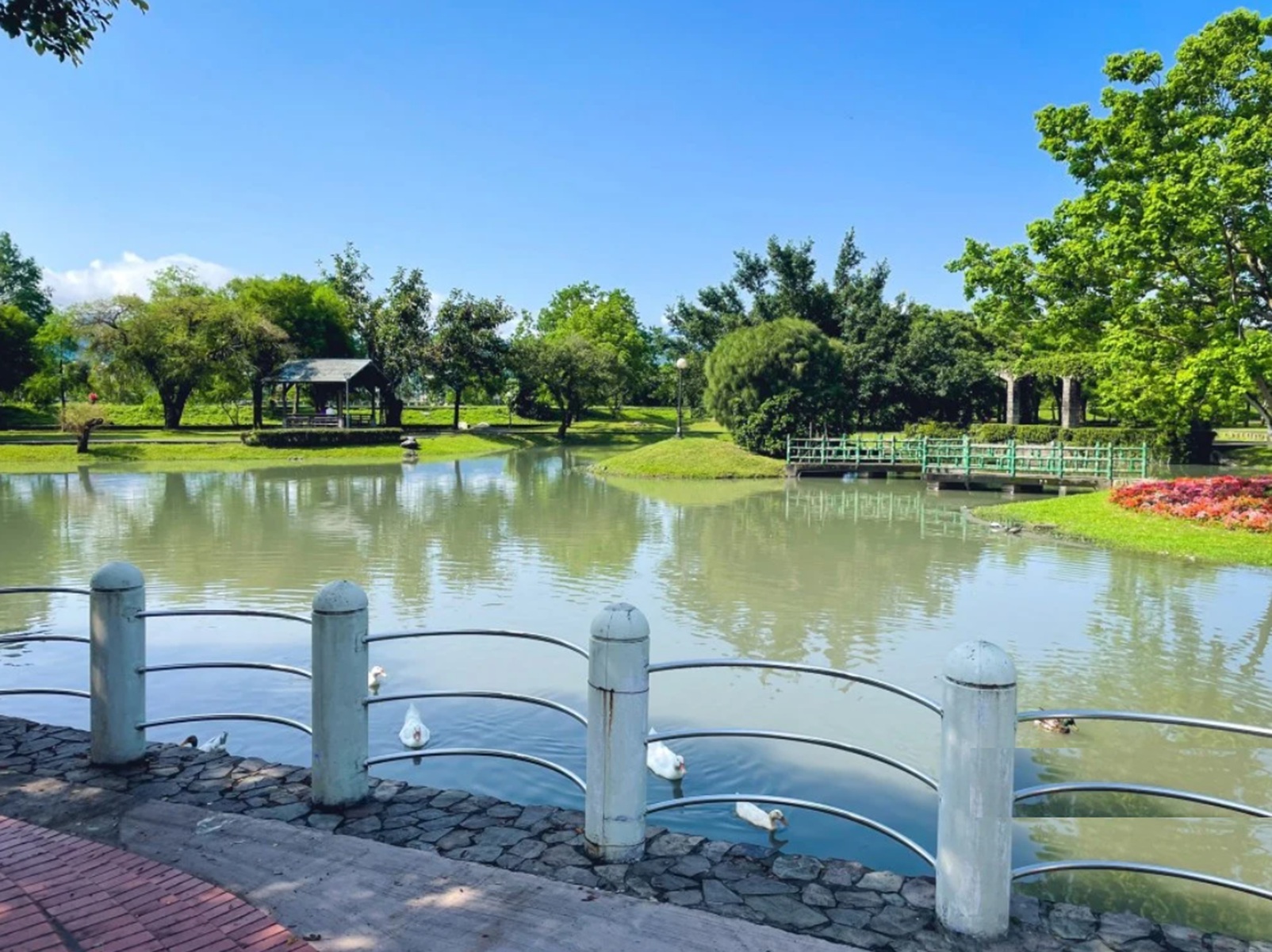 宜蘭【安農溪分洪堰自然生態園區】繞一圈來回不用一小時，入門級踏青步道