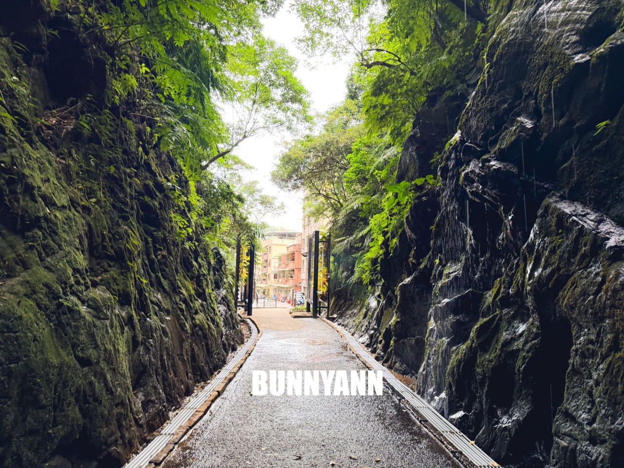 基隆【劉銘傳隧道】全台唯一百年鐵路隧道,走進神隱少女山洞秘境,開放時間、停車地點全攻略。 基隆【劉銘傳隧道】全台唯一百年鐵路隧道,走進神隱少女山洞秘境,開放時間、停車地點全攻略。