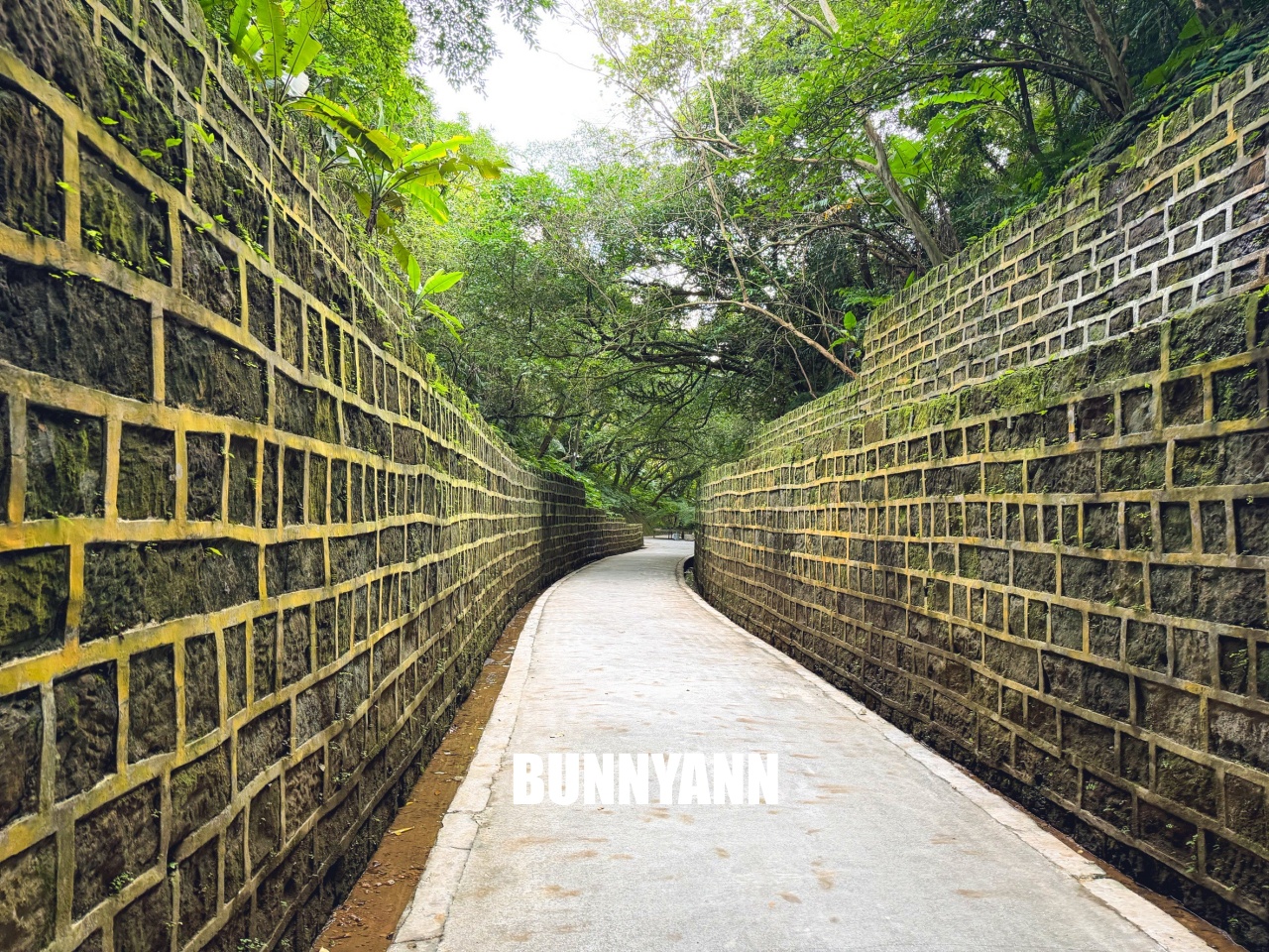 基隆【劉銘傳隧道】全台唯一百年鐵路隧道,走進神隱少女山洞秘境,開放時間、停車地點全攻略。 基隆【劉銘傳隧道】全台唯一百年鐵路隧道,走進神隱少女山洞秘境,開放時間、停車地點全攻略。