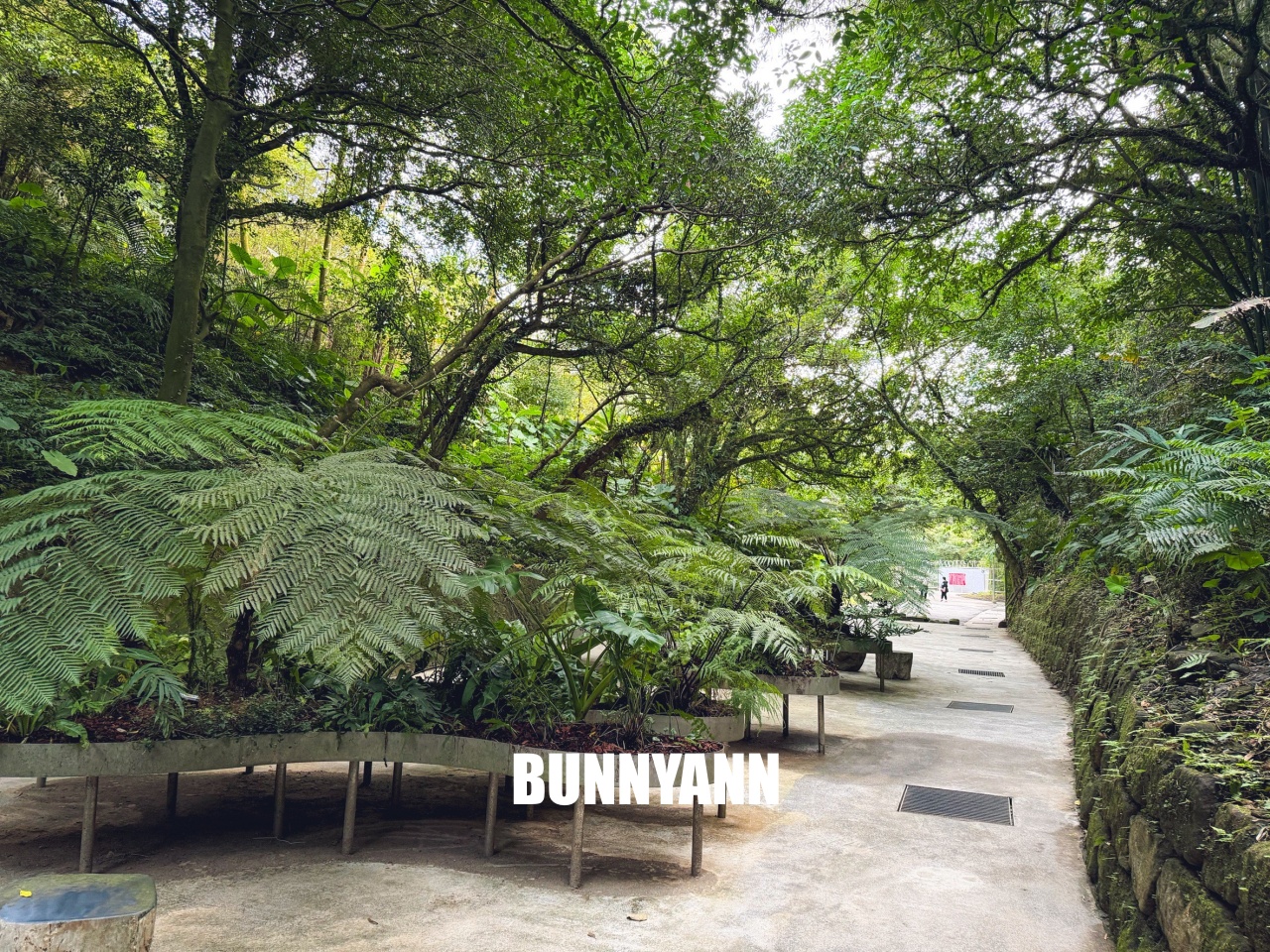 基隆【劉銘傳隧道】全台唯一百年鐵路隧道,走進神隱少女山洞秘境,開放時間、停車地點全攻略。 基隆【劉銘傳隧道】全台唯一百年鐵路隧道,走進神隱少女山洞秘境,開放時間、停車地點全攻略。