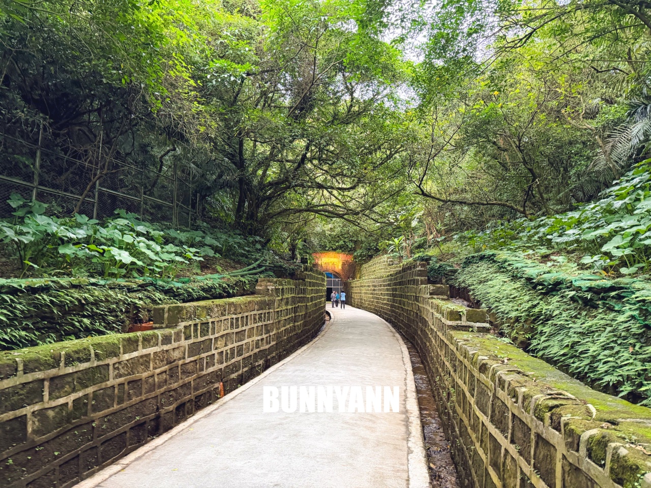 基隆【劉銘傳隧道】全台唯一百年鐵路隧道,走進神隱少女山洞秘境,開放時間、停車地點全攻略。 基隆【劉銘傳隧道】全台唯一百年鐵路隧道,走進神隱少女山洞秘境,開放時間、停車地點全攻略。
