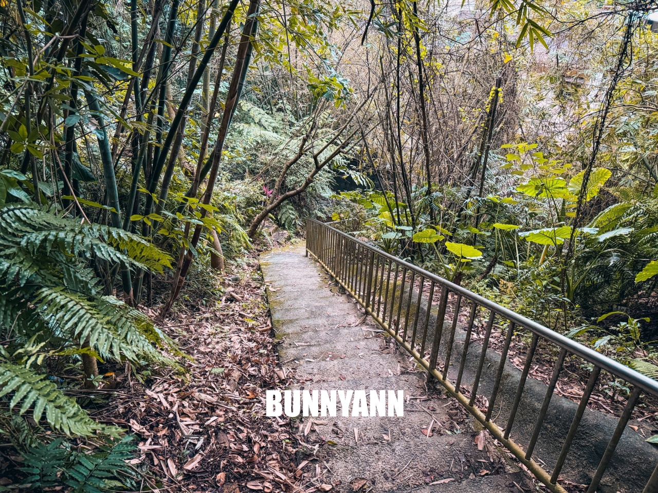 基隆【劉銘傳隧道】全台唯一百年鐵路隧道,走進神隱少女山洞秘境,開放時間、停車地點全攻略。 基隆【劉銘傳隧道】全台唯一百年鐵路隧道,走進神隱少女山洞秘境,開放時間、停車地點全攻略。