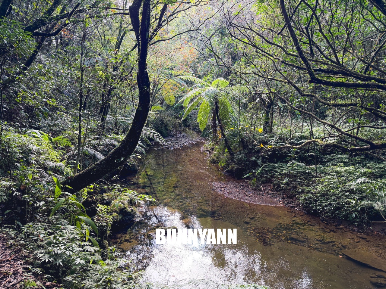 新北市【三貂嶺瀑布步道】挑戰摩天瀑布與枇杷洞瀑布，絕美洞穴水濂洞，入門等級登山步道。