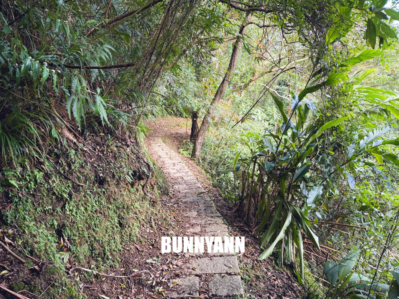 新北市【三貂嶺瀑布步道】挑戰摩天瀑布與枇杷洞瀑布，絕美洞穴水濂洞，入門等級登山步道。