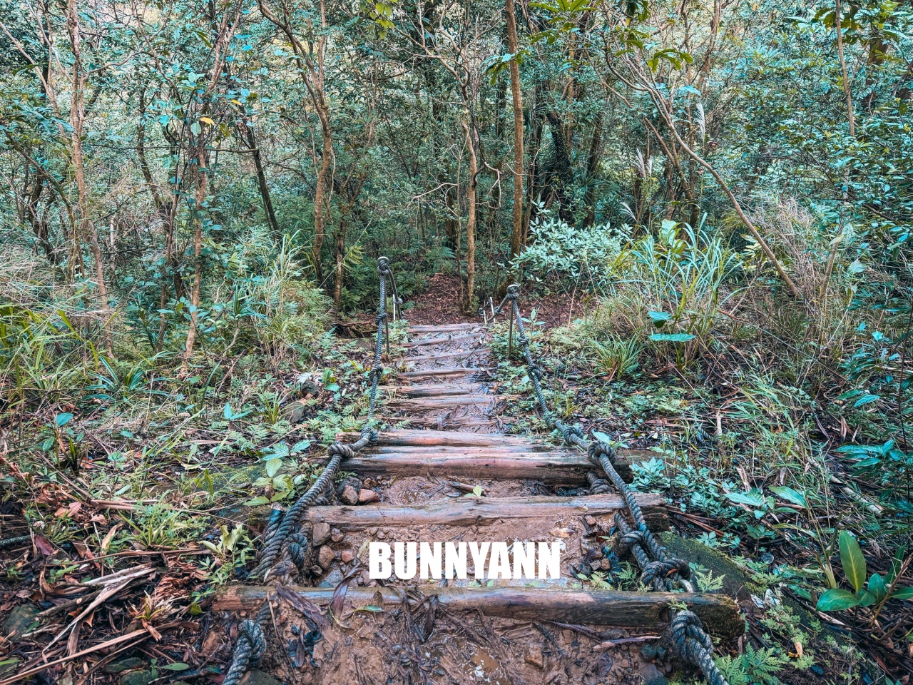 新北市【三貂嶺瀑布步道】挑戰摩天瀑布與枇杷洞瀑布，絕美洞穴水濂洞，入門等級登山步道。